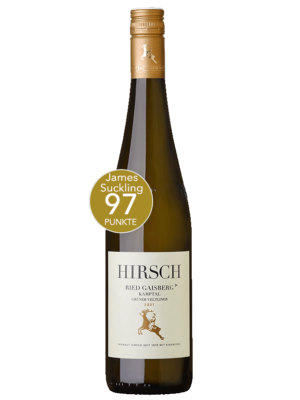 Ried Gaisberg – Kammern Grüner Veltliner 2021