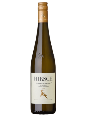 Ried Gaisberg – Kammern Grüner Veltliner 2024