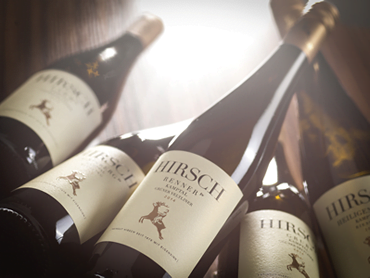 startseite-weingut-hirsch-06